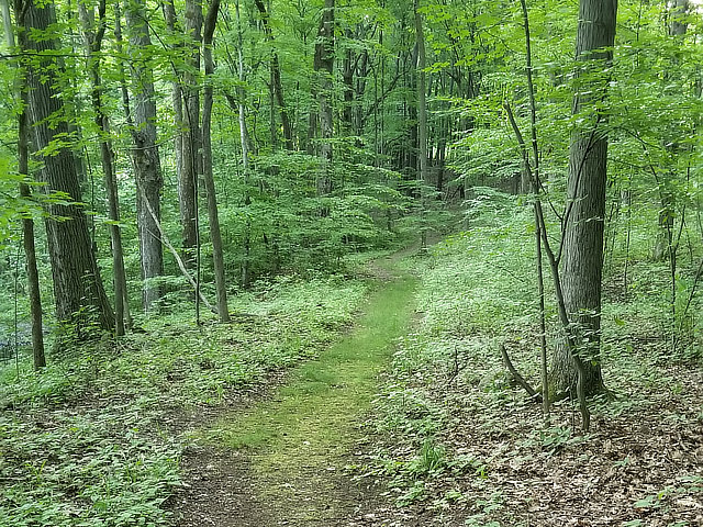 Nature Trail